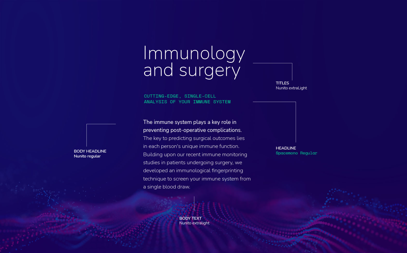 Surge_layout_typo_02