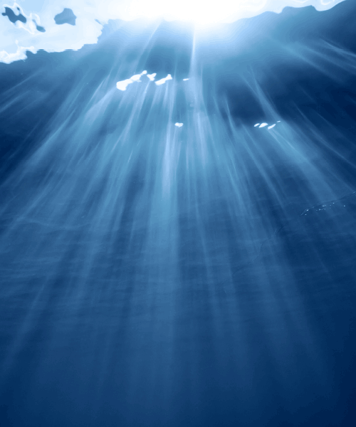 Jona_Card_ocean Jona_Card_ocean