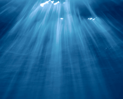 Jona_Card_ocean2