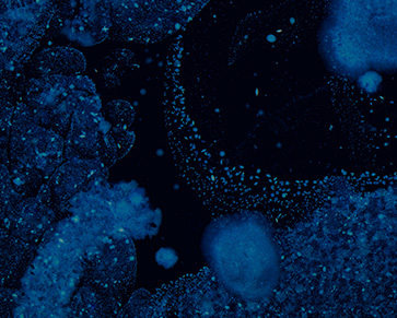 Organic texture 
