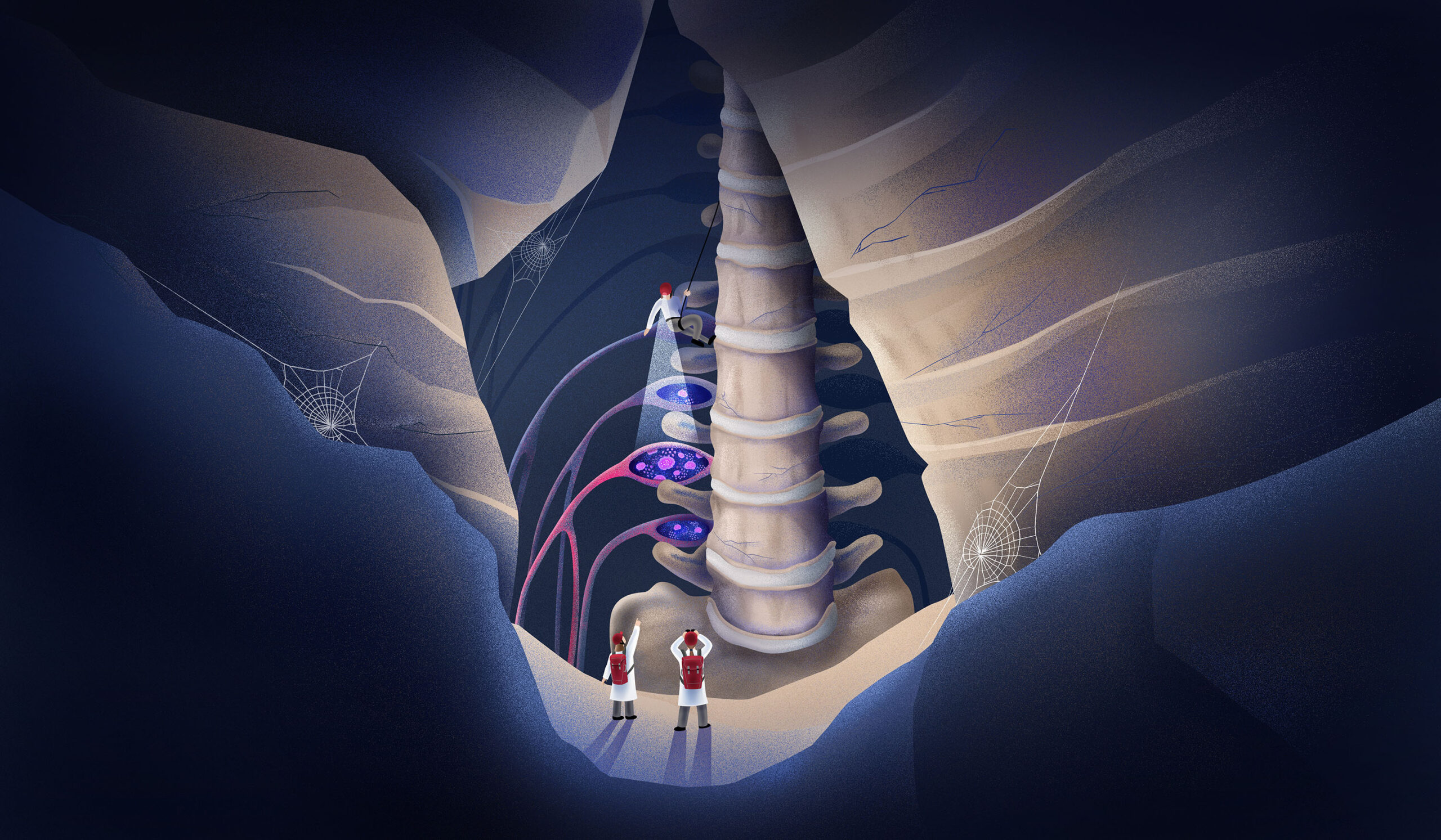 NatNeuroCover_fullimage_RGB_Lowres_3000x1750